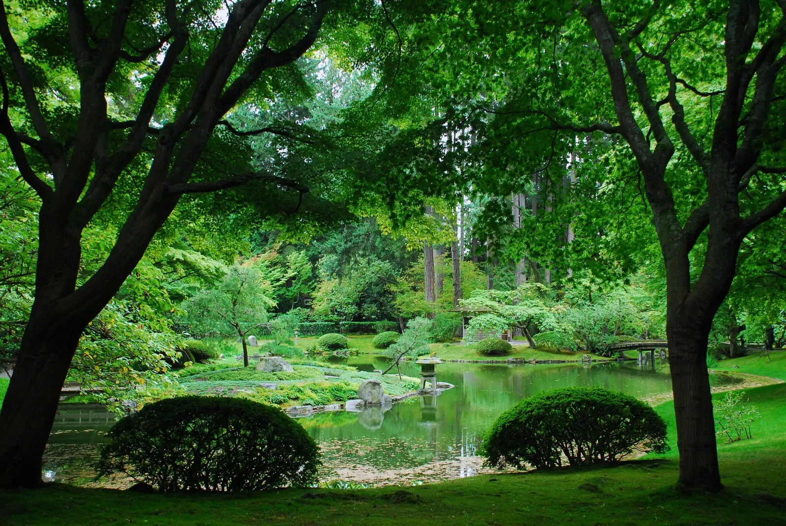 Nitobe Memorial Garden