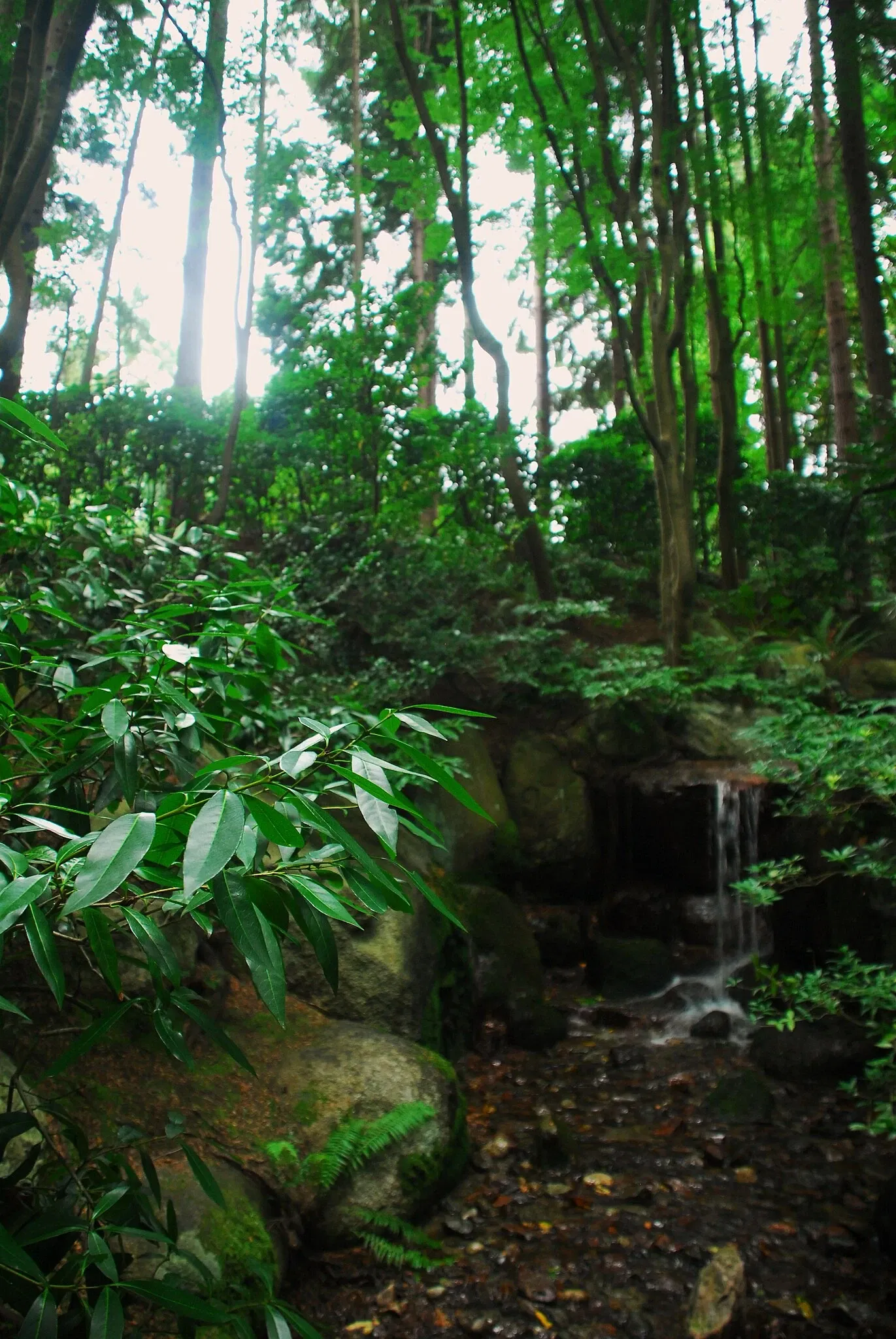 Nitobe Memorial Garden