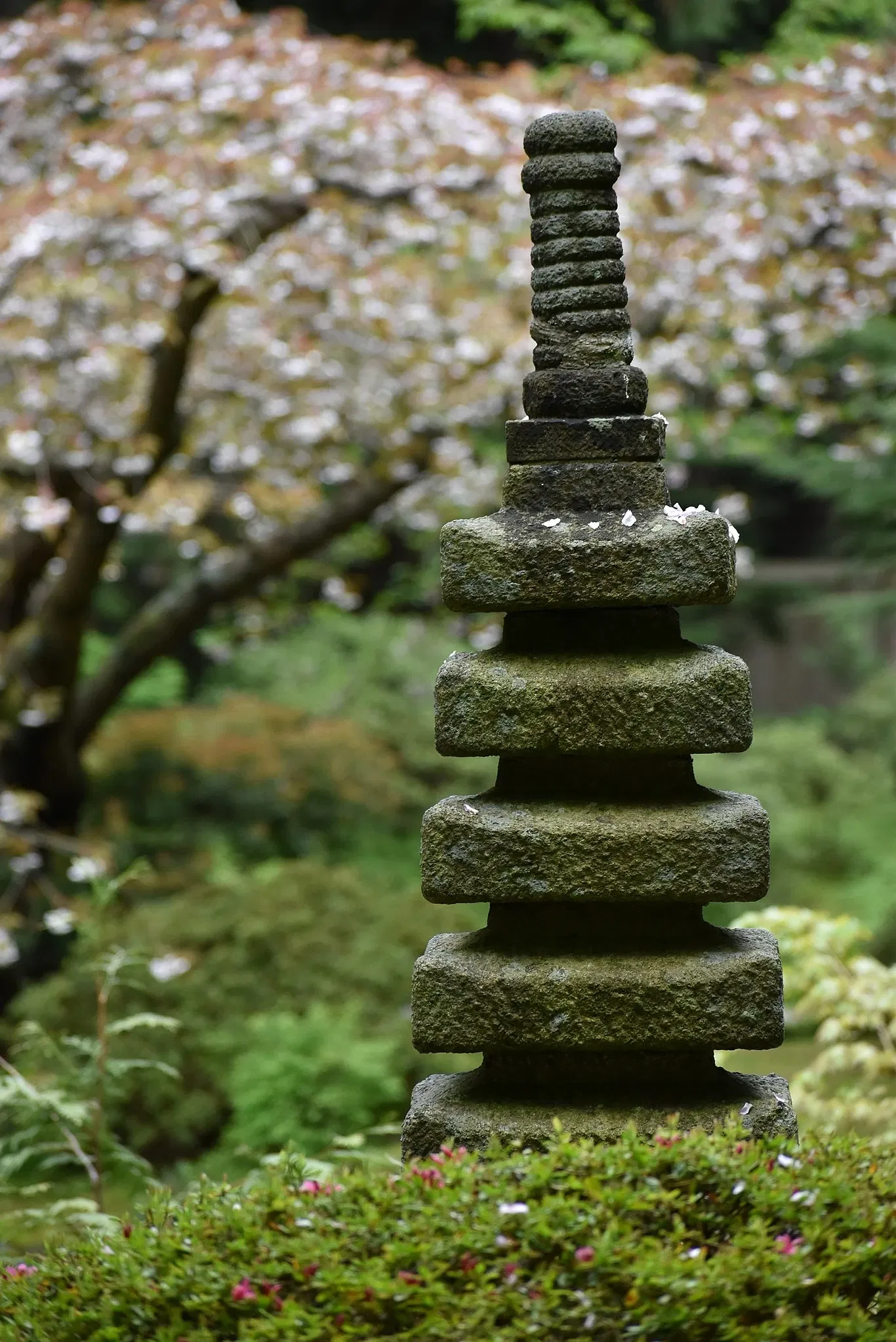 Nitobe Memorial Garden