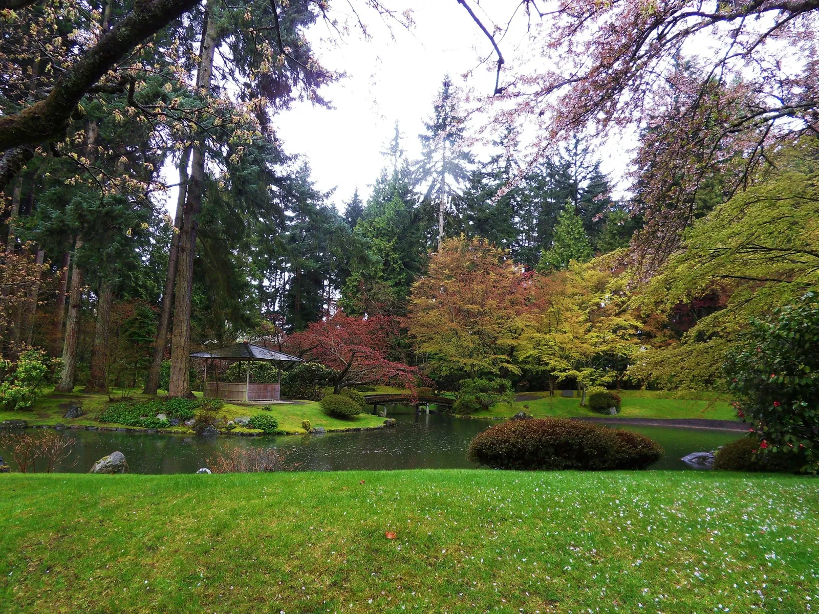 Nitobe Memorial Garden