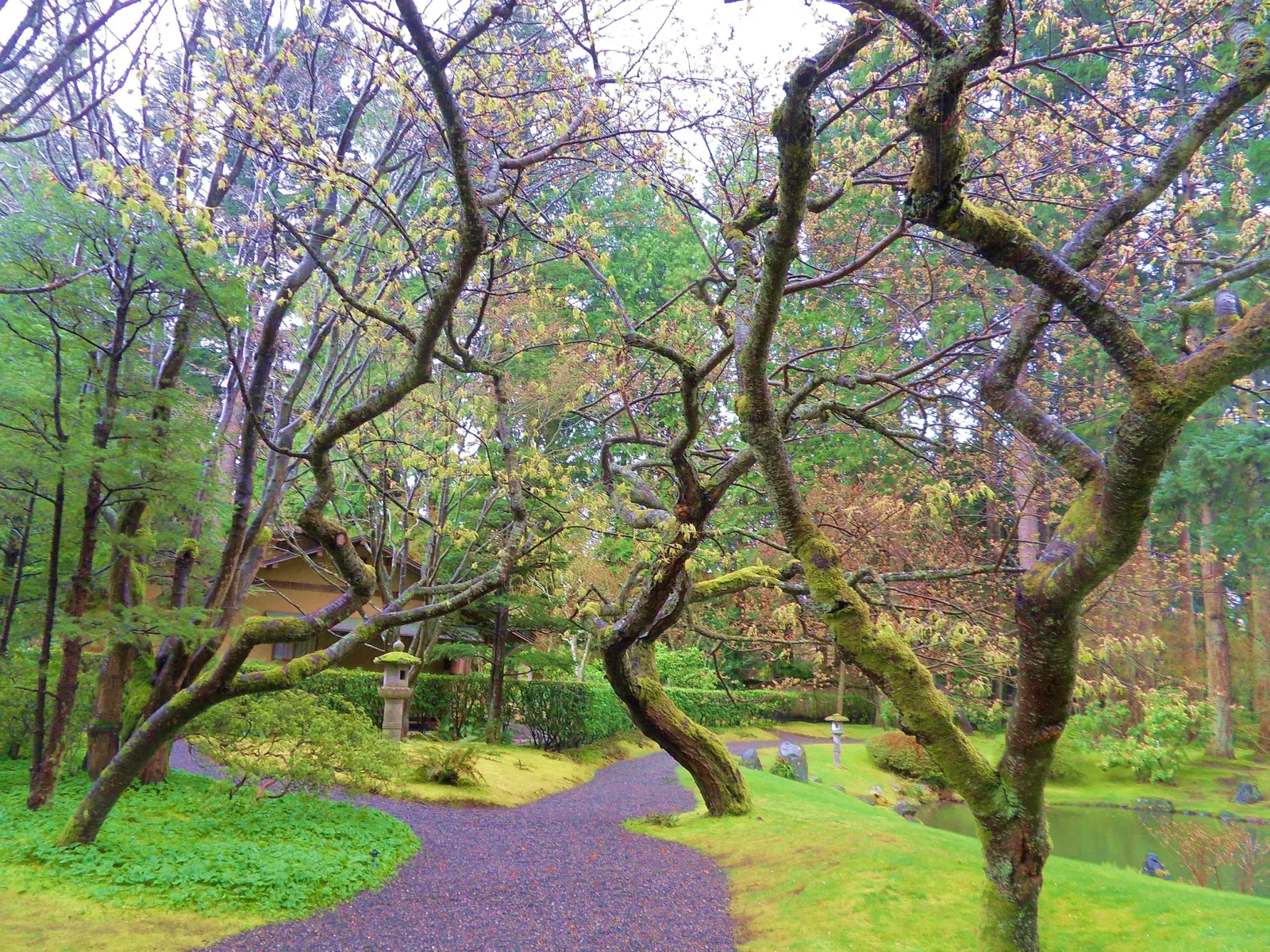 Nitobe Memorial Garden
