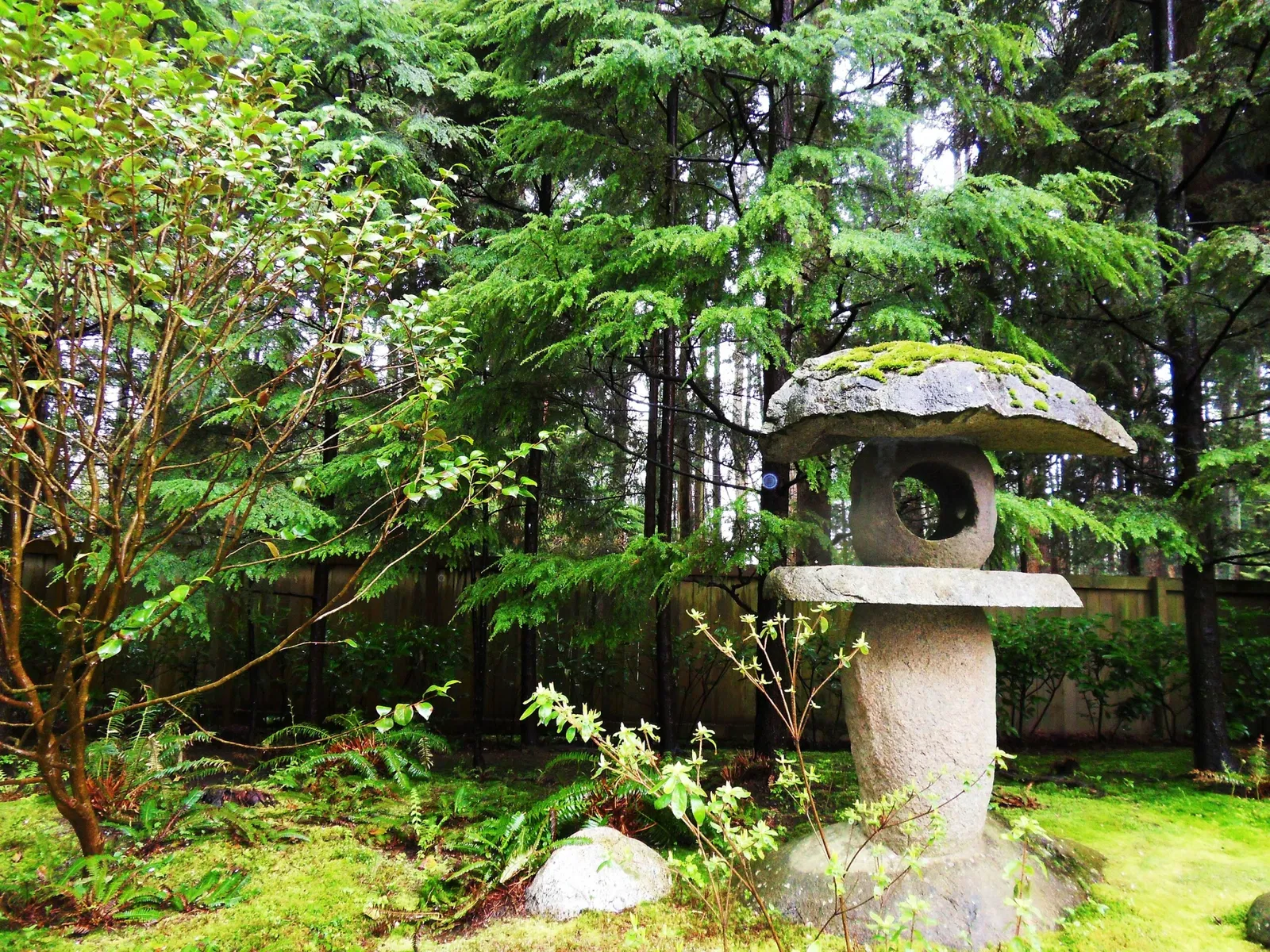 Nitobe Memorial Garden