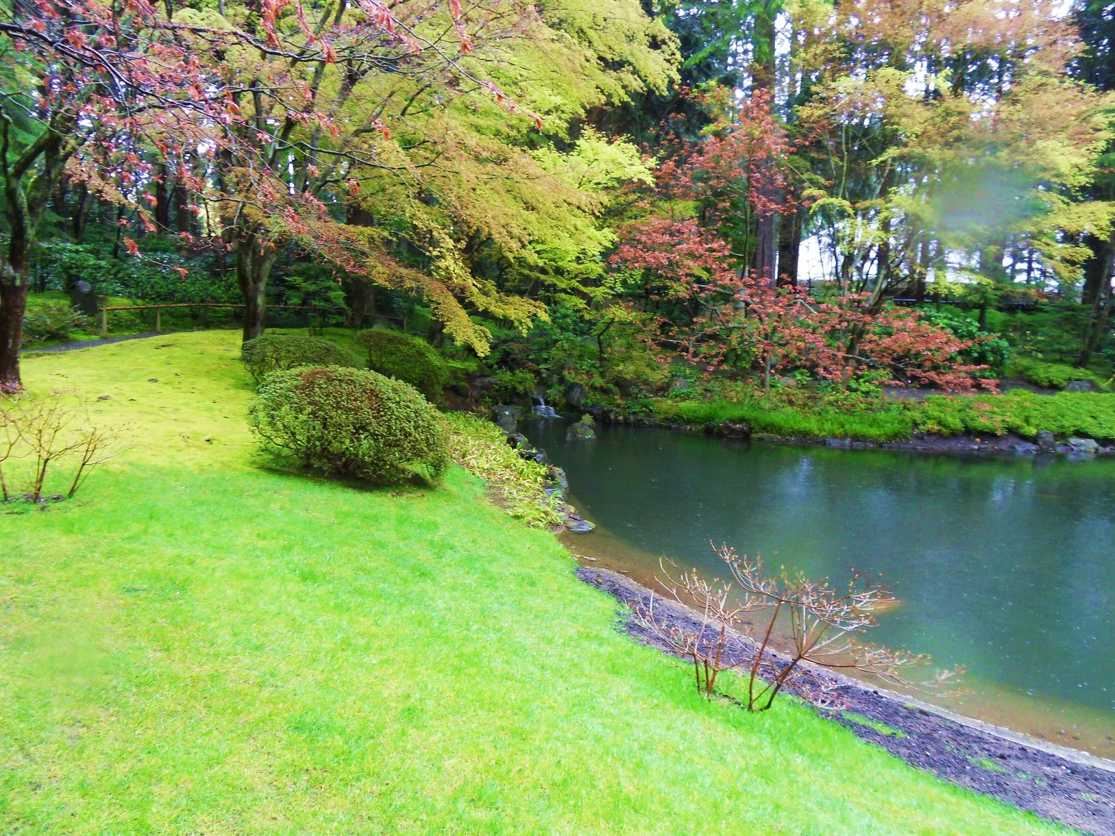 Nitobe Memorial Garden