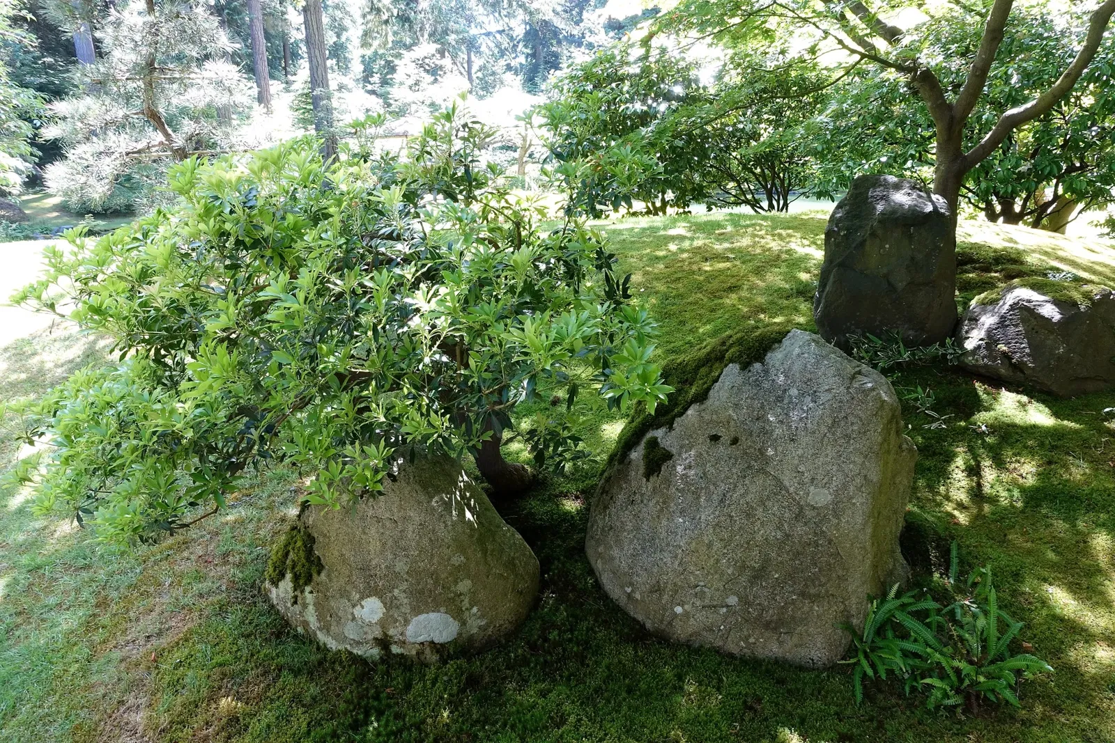 Nitobe Memorial Garden