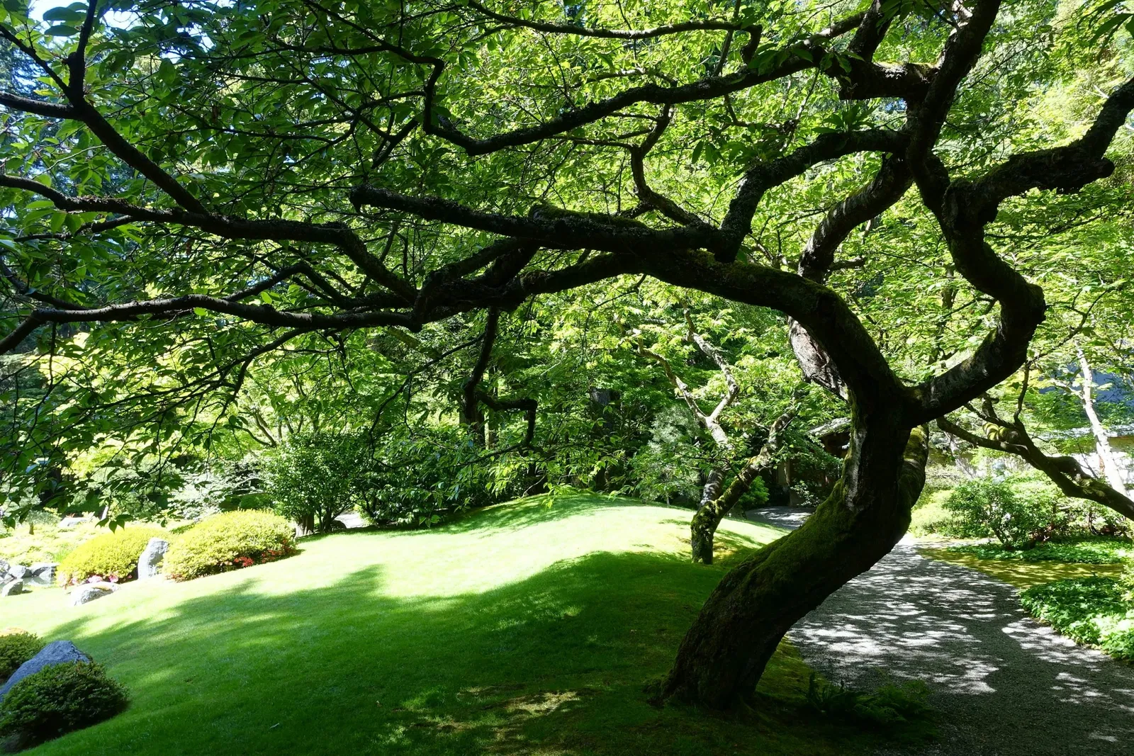 Nitobe Memorial Garden