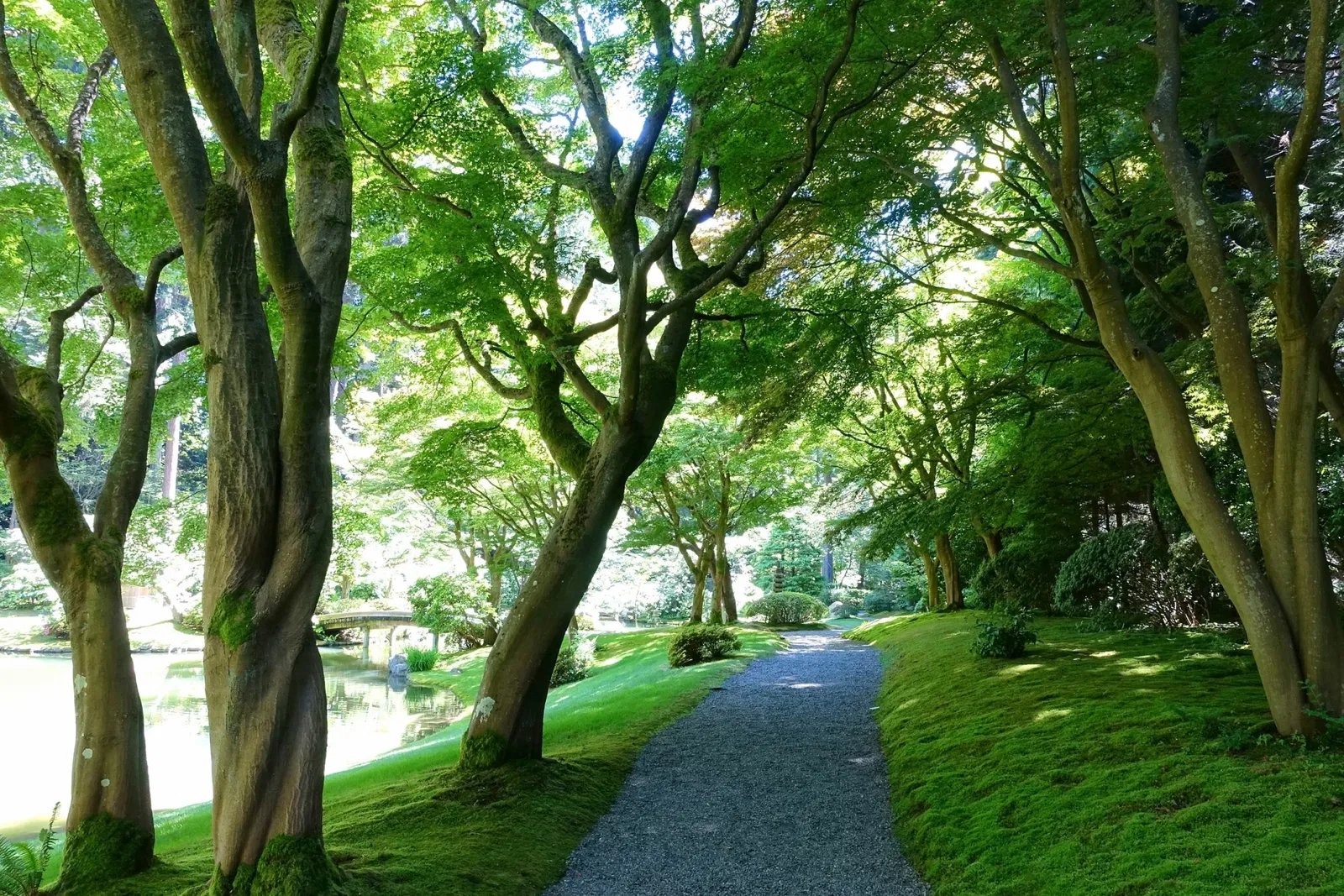 Nitobe Memorial Garden