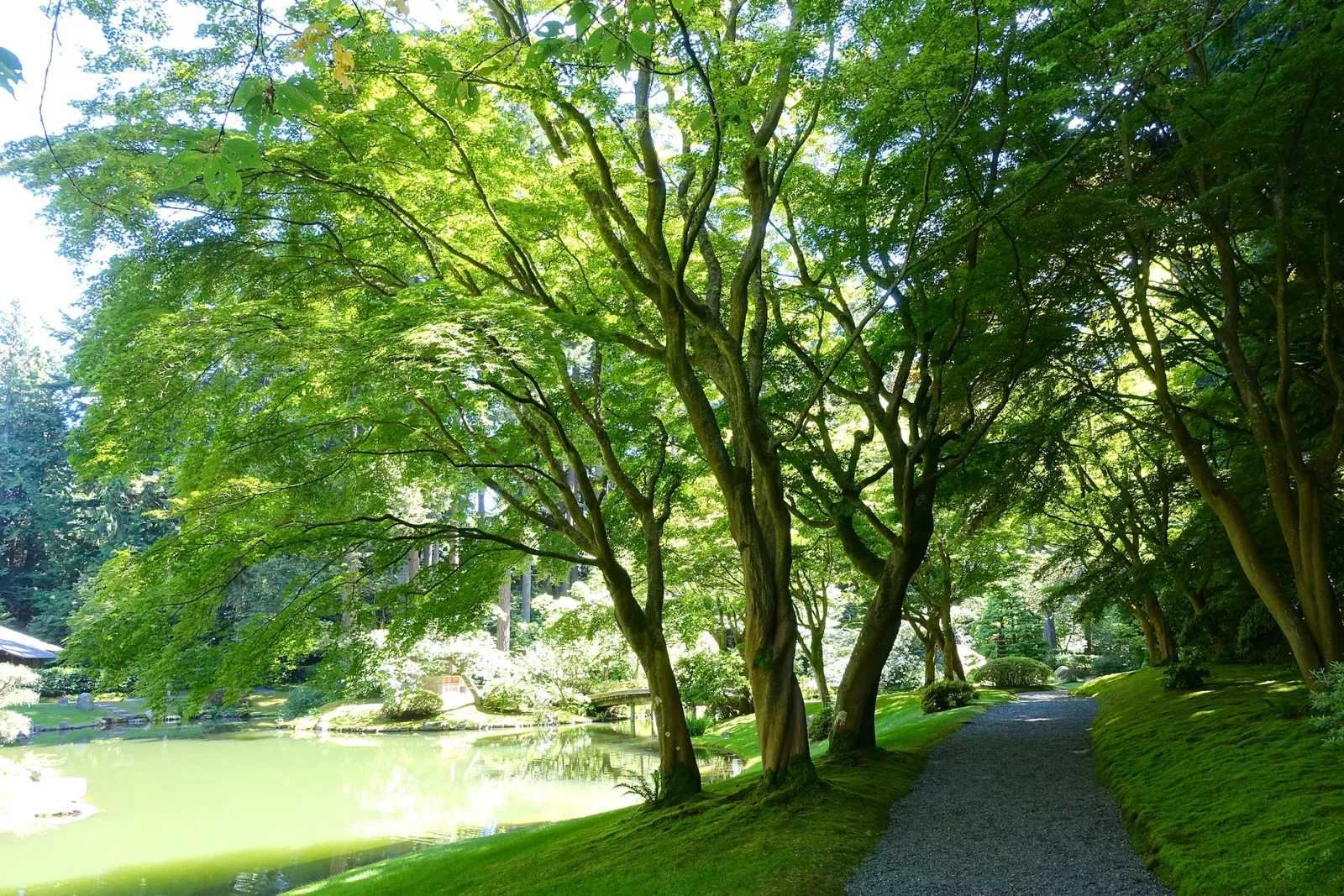 Nitobe Memorial Garden