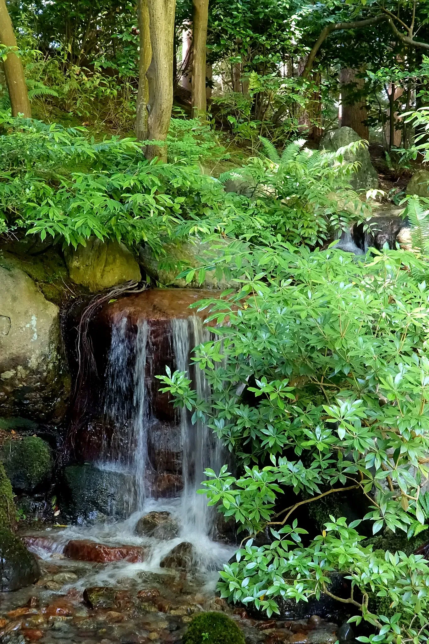 Nitobe Memorial Garden