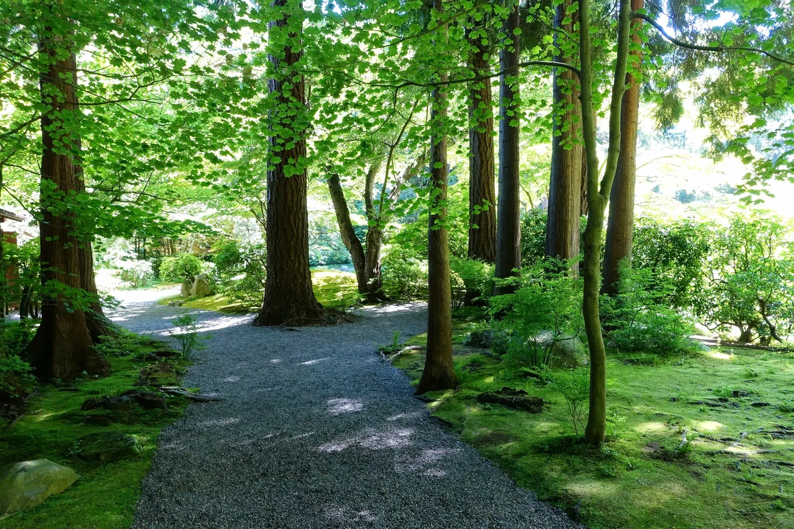 Nitobe Memorial Garden