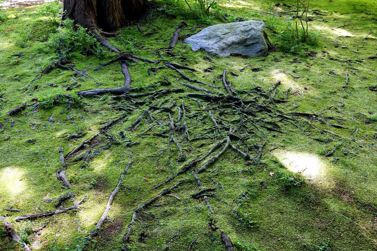 Nitobe Memorial Garden