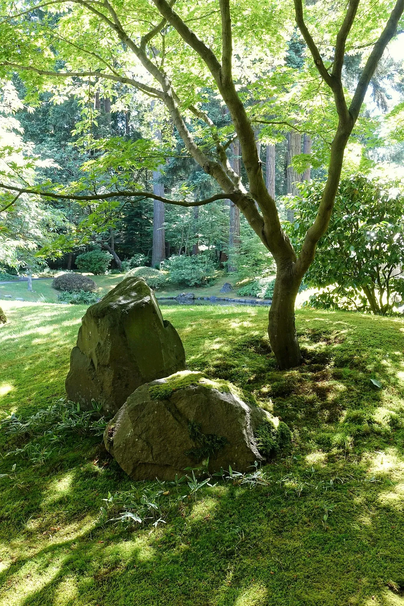 Nitobe Memorial Garden