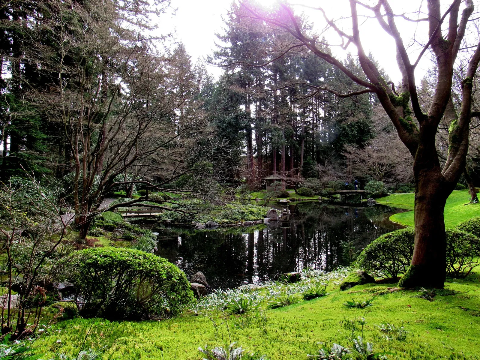 Nitobe Memorial Garden