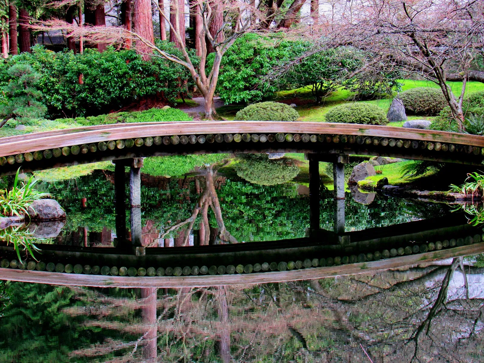 Nitobe Memorial Garden