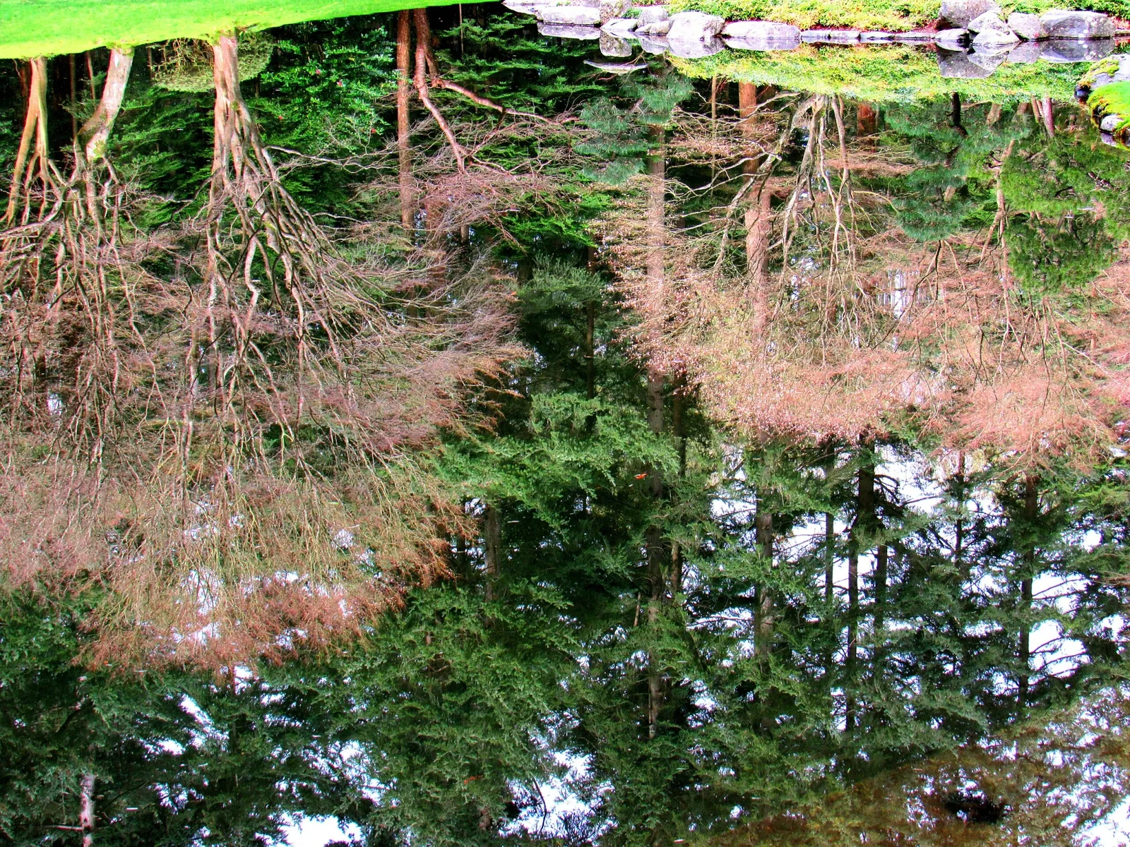 Nitobe Memorial Garden
