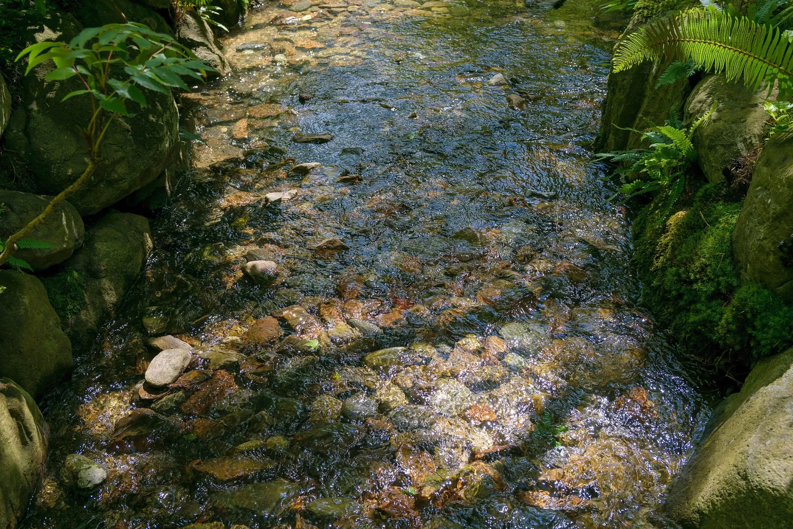 Nitobe Memorial Garden