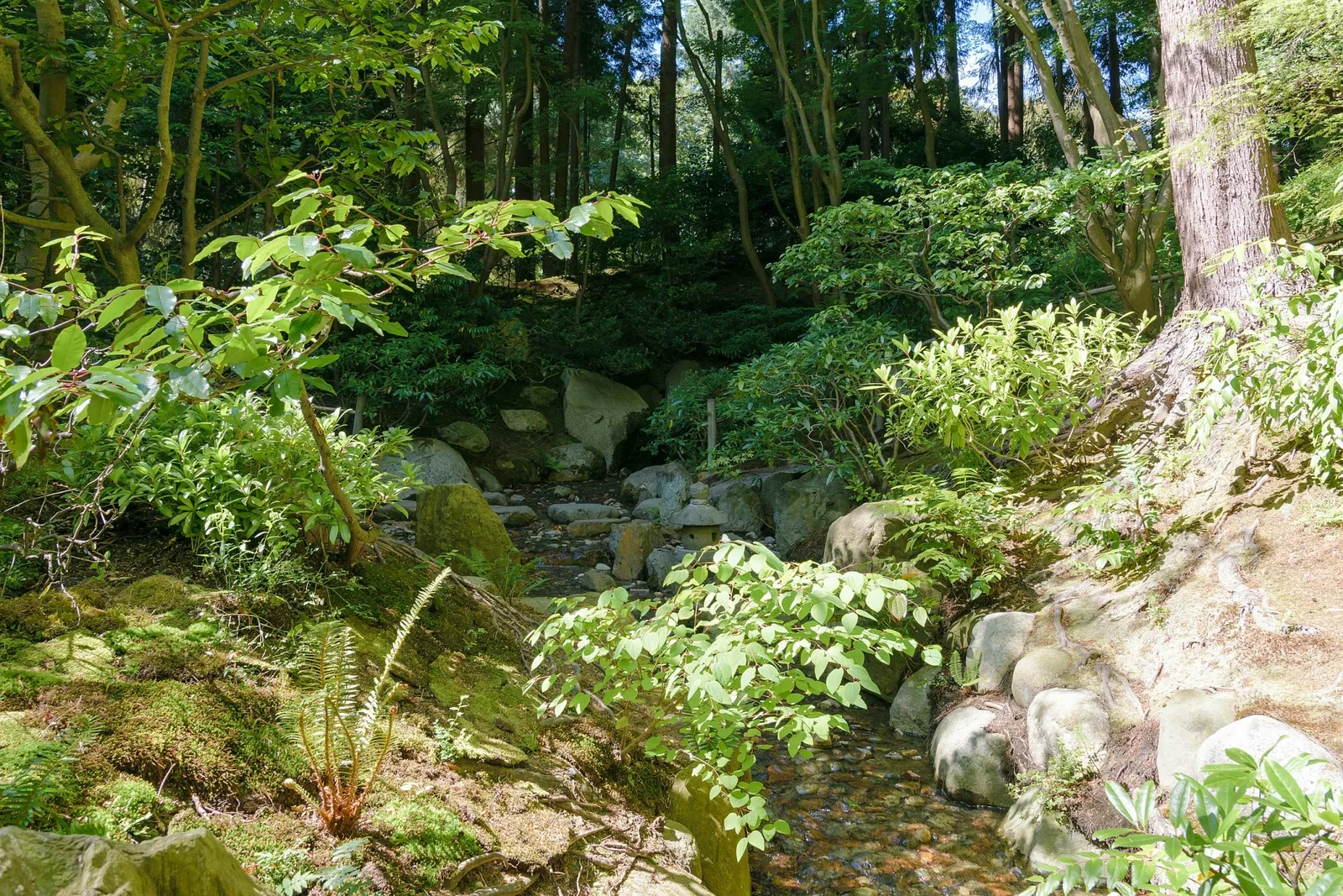 Nitobe Memorial Garden