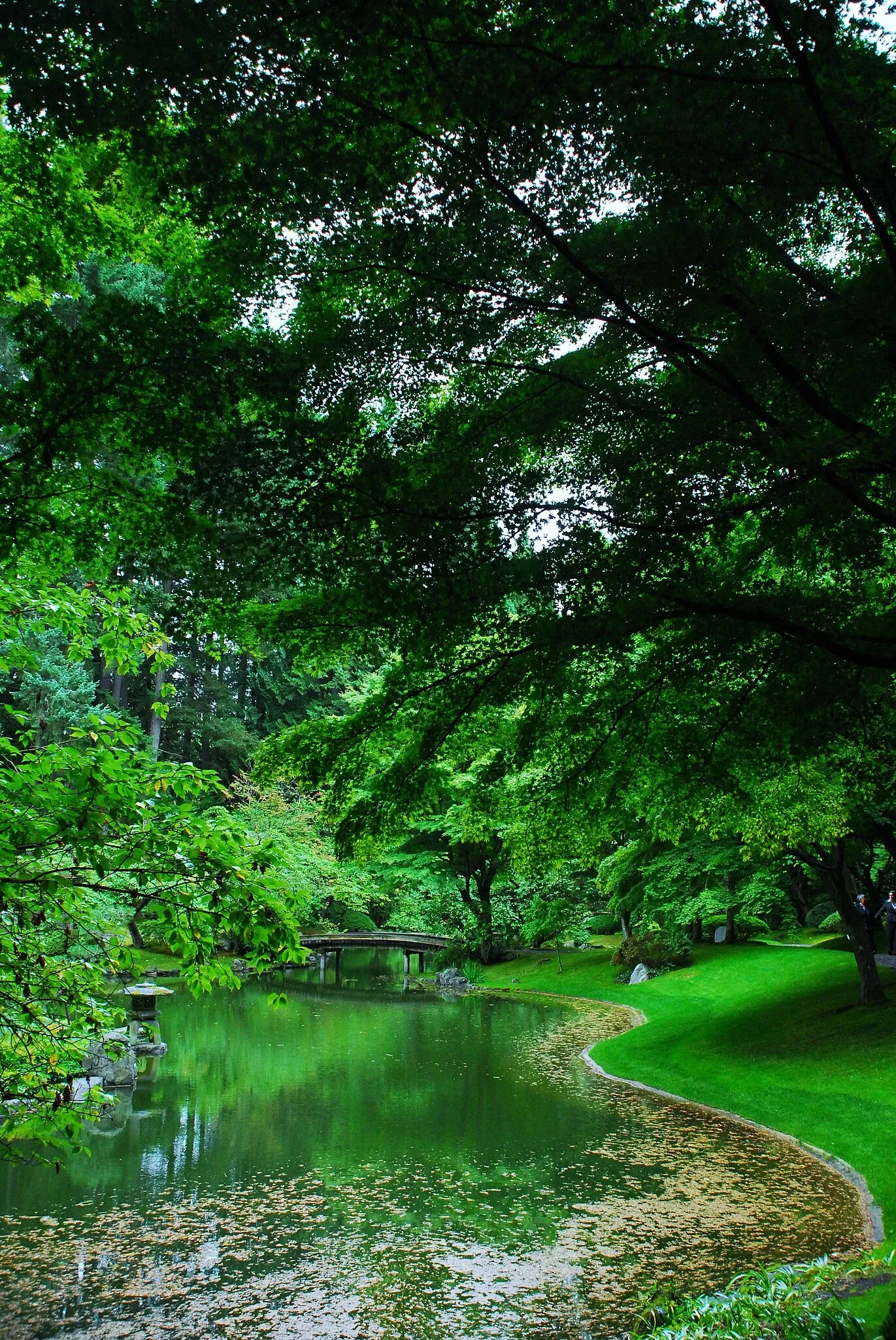 Nitobe Memorial Garden