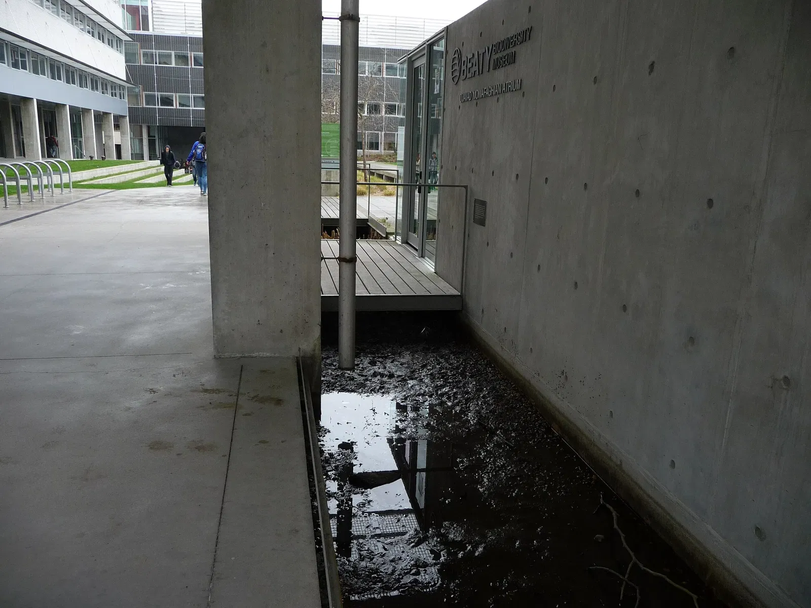 Museo de Biodiversidad Beaty