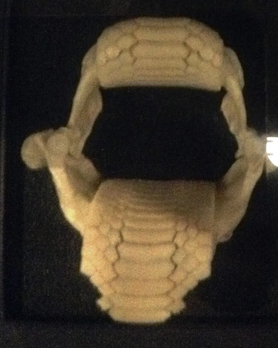 Museo de Biodiversidad Beaty