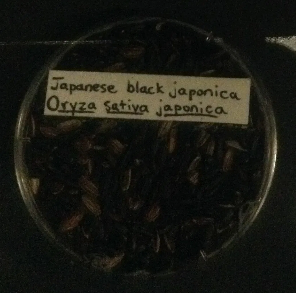 Museo de Biodiversidad Beaty