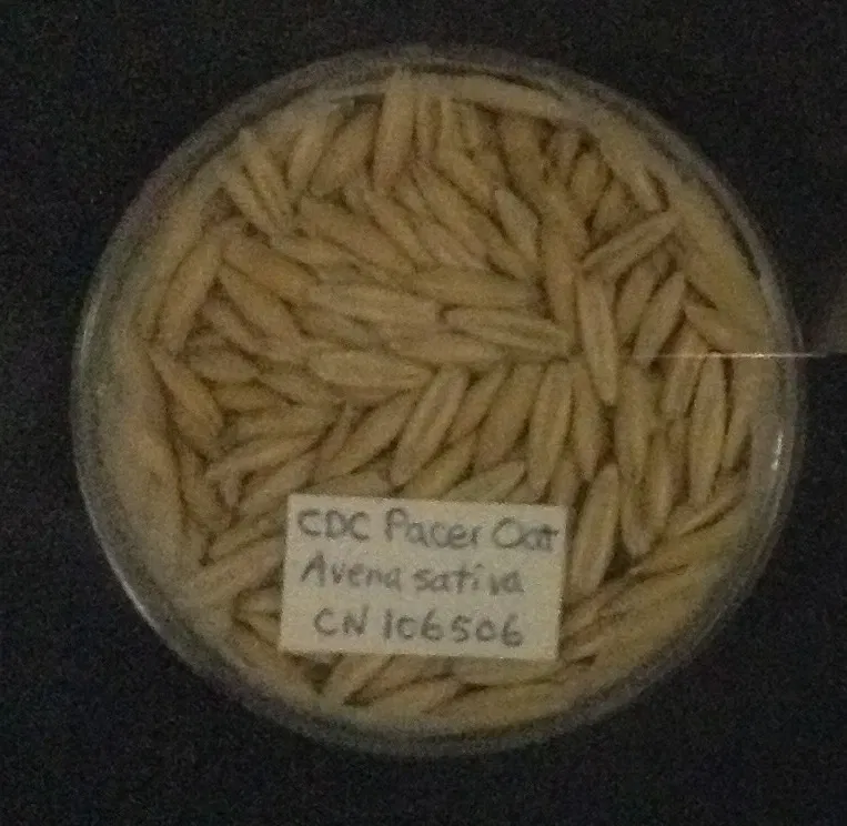 Museo de Biodiversidad Beaty