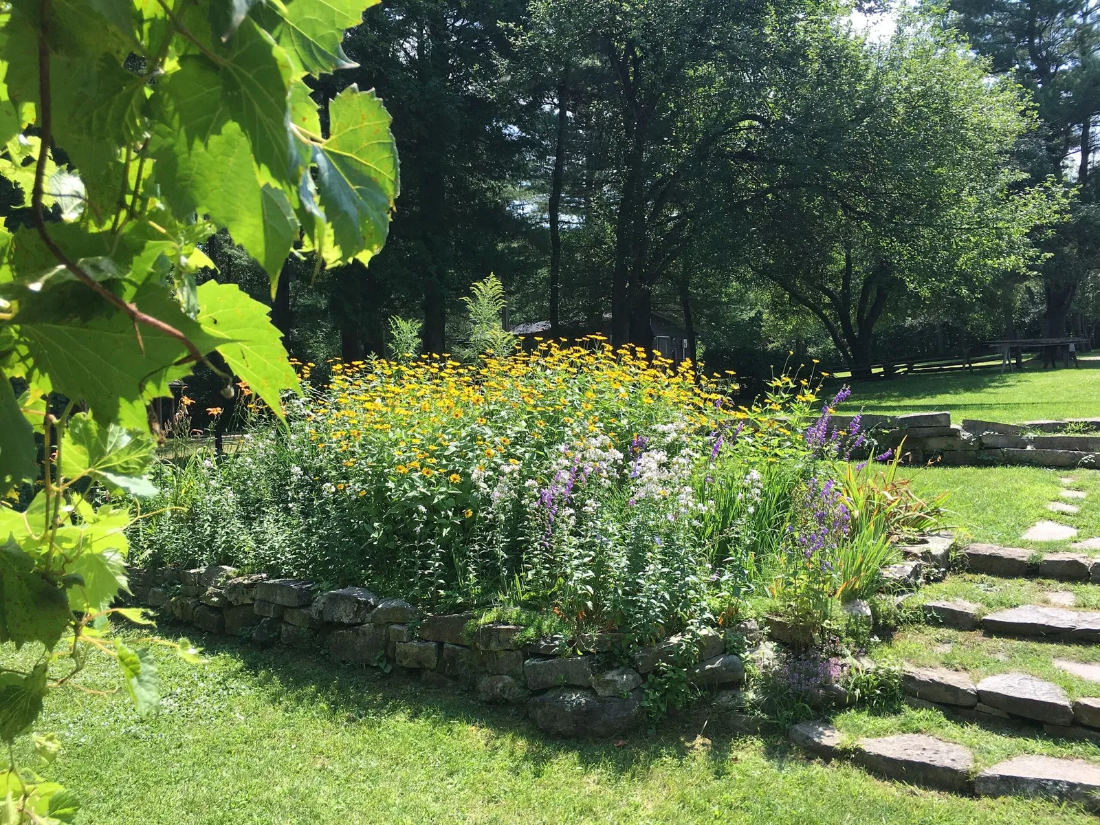 The R. Tait Mckenzie Memorial Museum