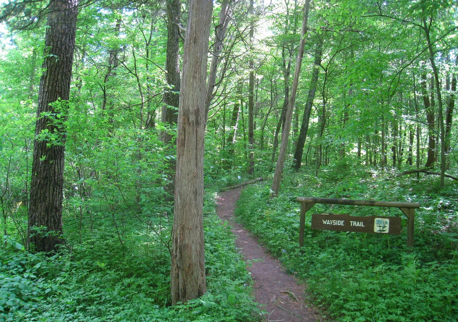 Bowman's Hill Wildflower Preserve