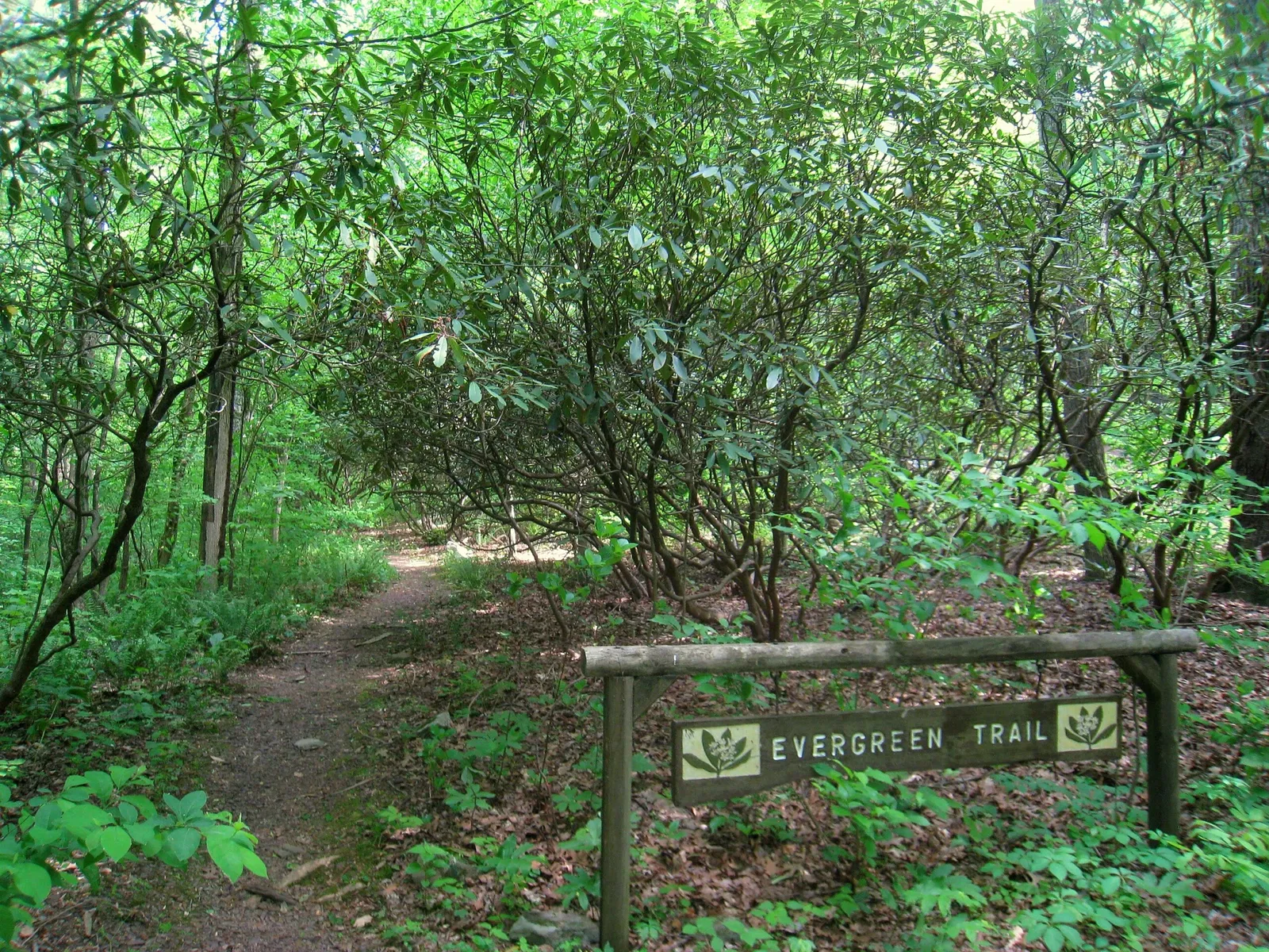 Reserva de flora silvestre de Bowman´s Hill