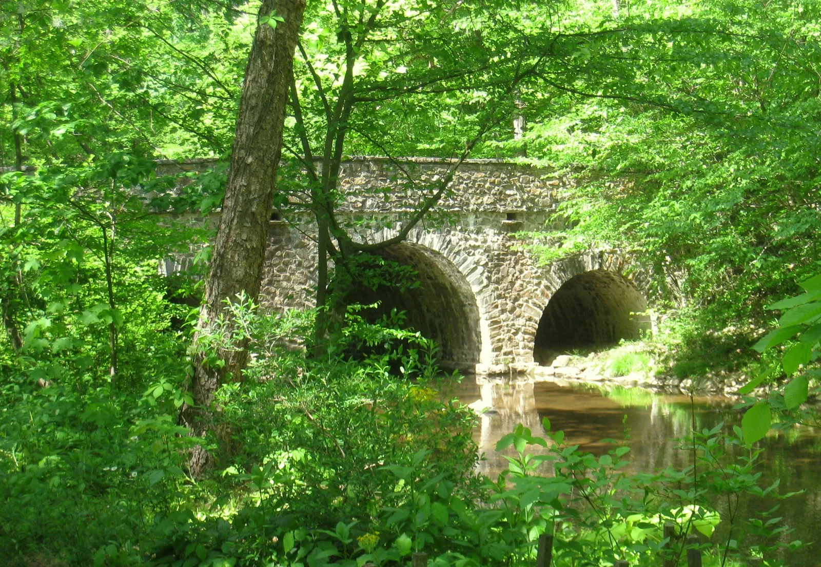 Bowman's Hill Wildflower Preserve