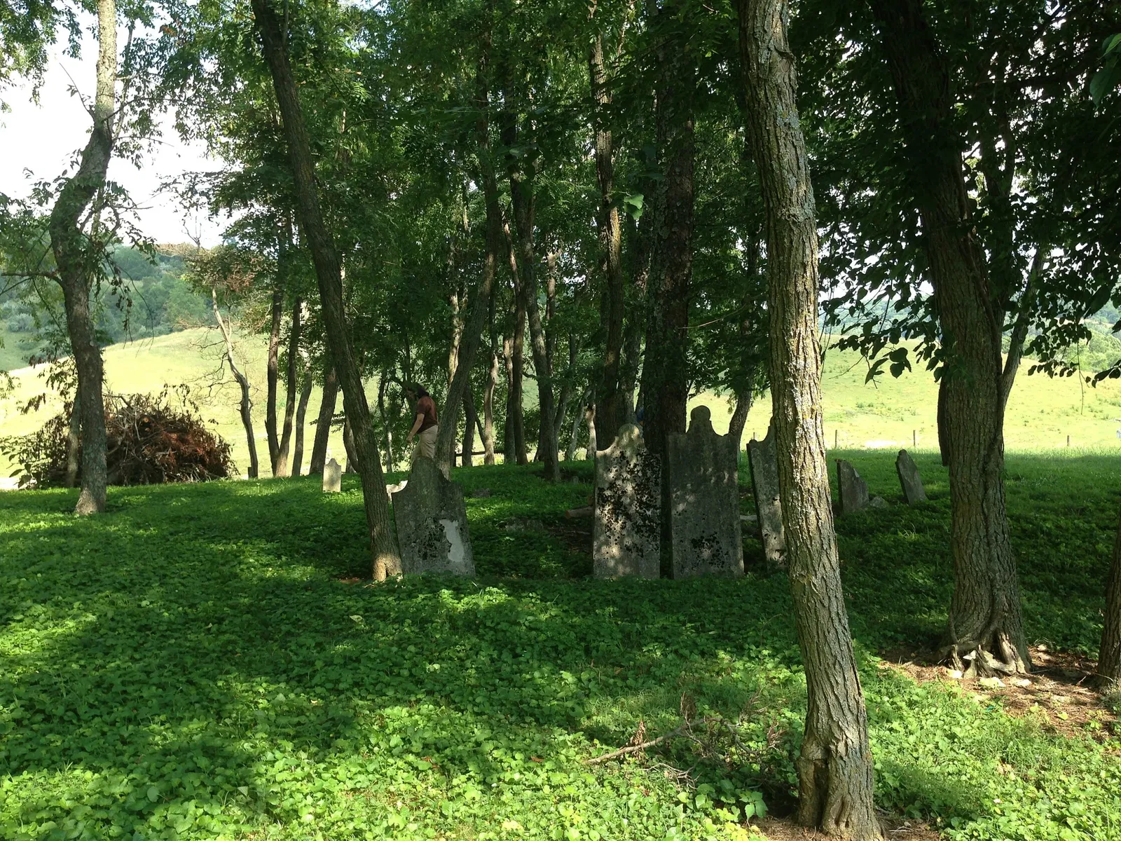 Southwest Virginia Museum State Park