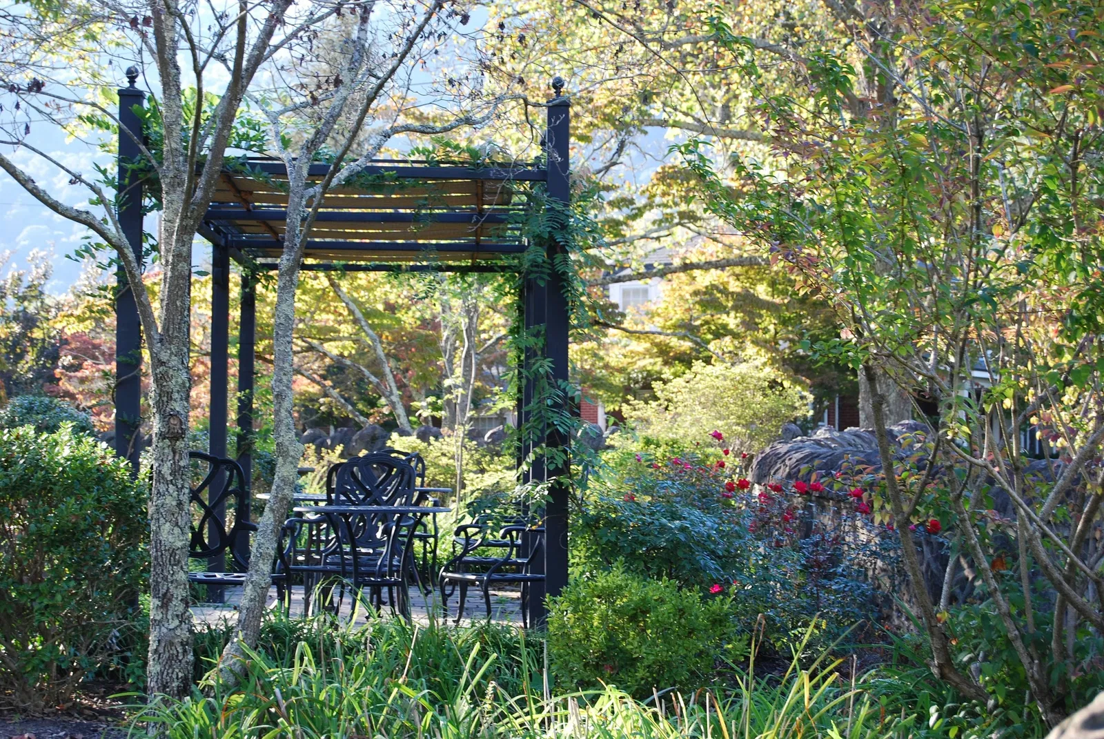 Southwest Virginia Museum State Park