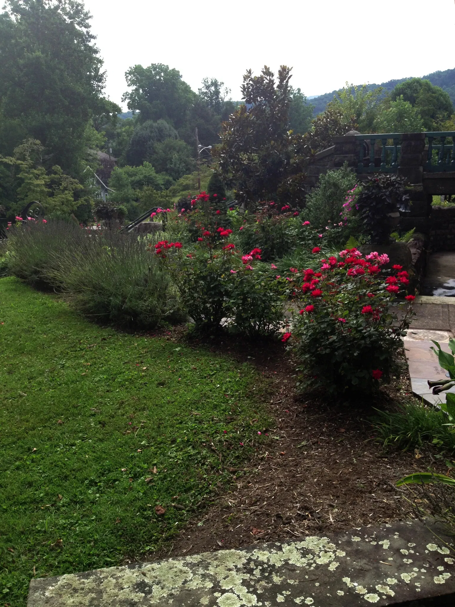 Southwest Virginia Museum State Park