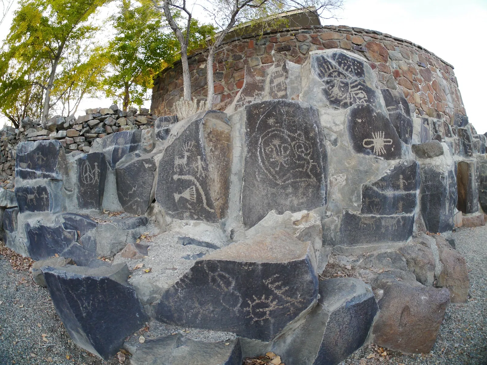 Parque estatal del Bosque Ginkgo Petrificado