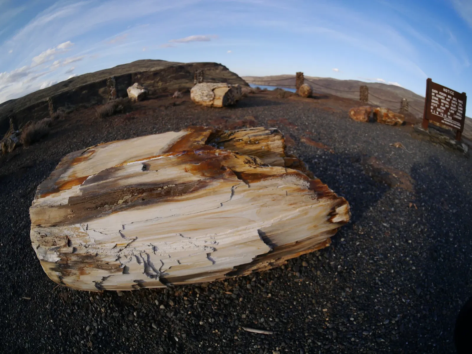 Ginkgo Petrified Forest Interpretive Center