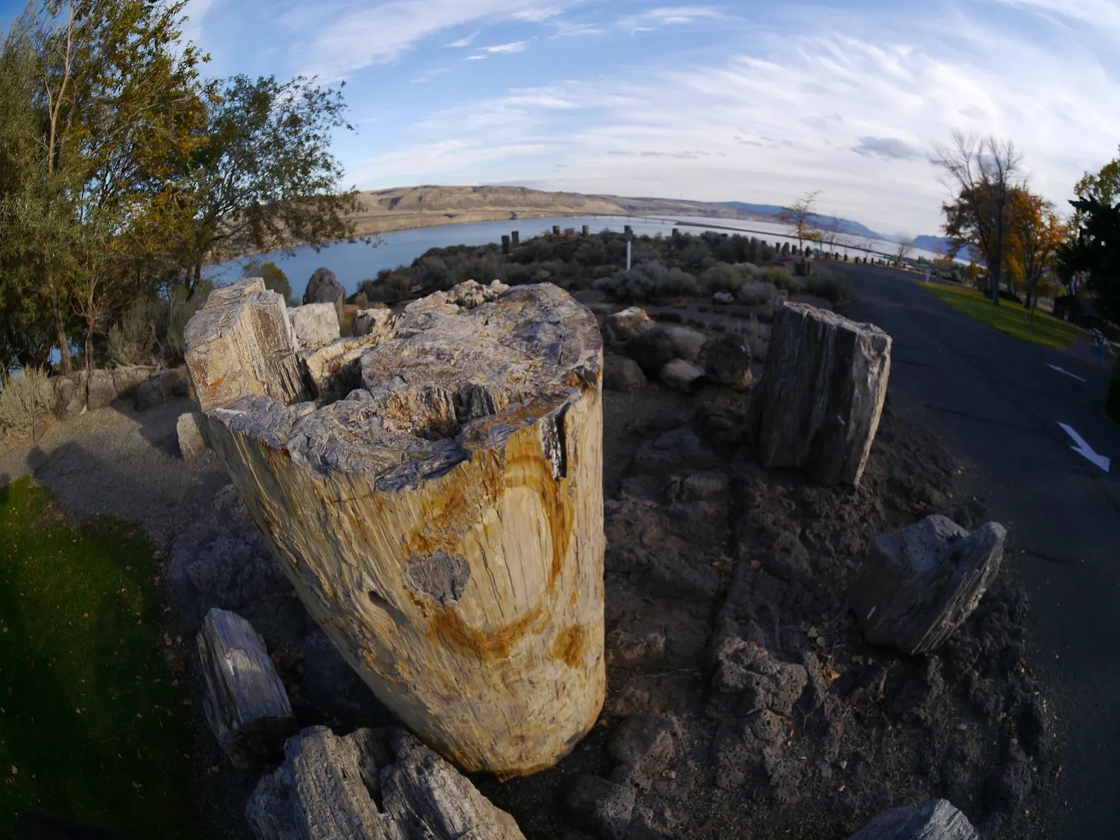 Ginkgo Petrified Forest Interpretive Center