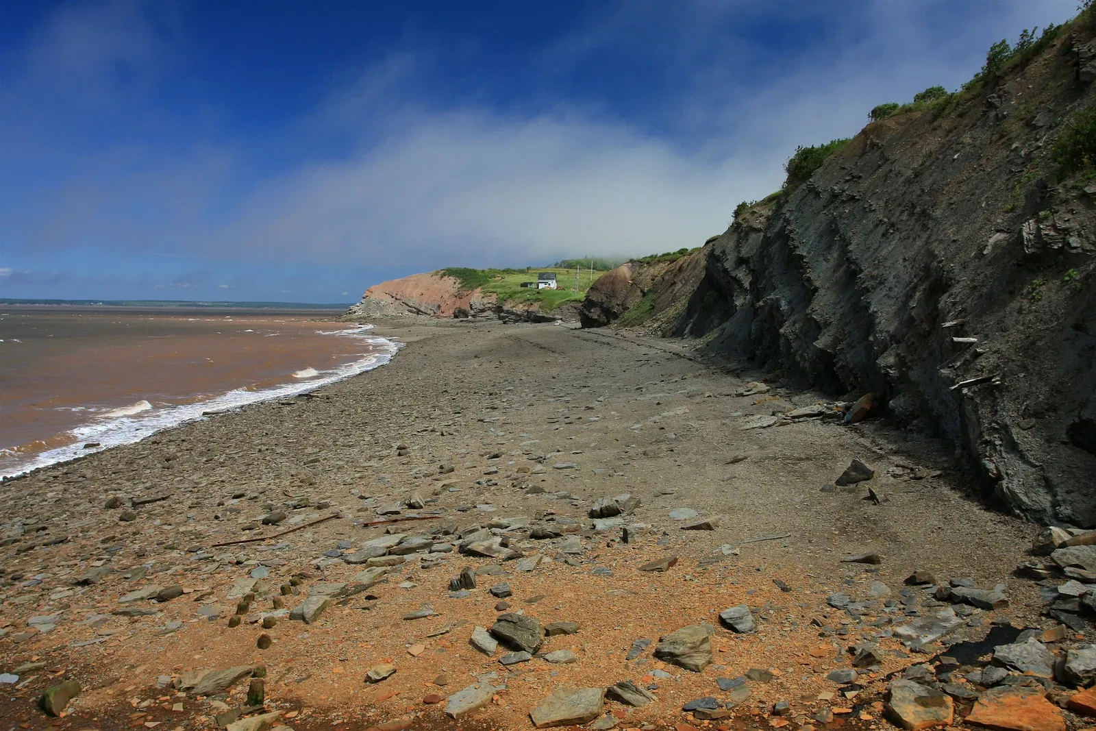 Joggins Fossil Centre