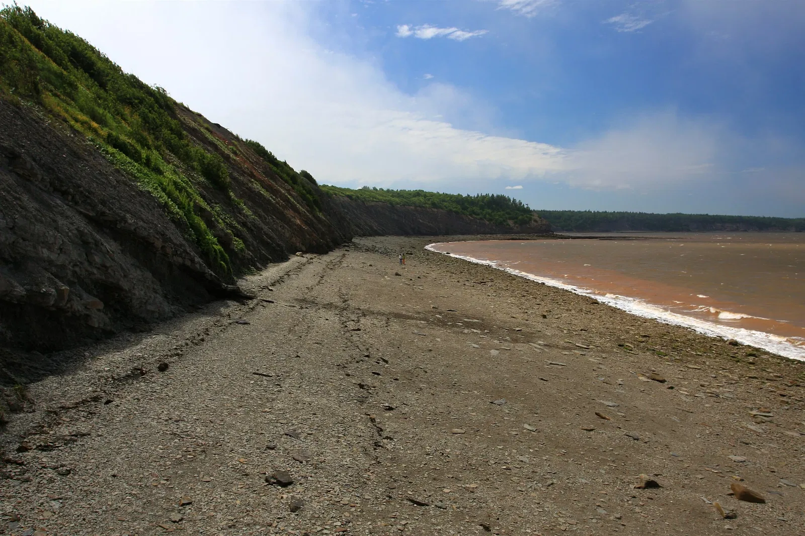 Joggins Fossil Centre