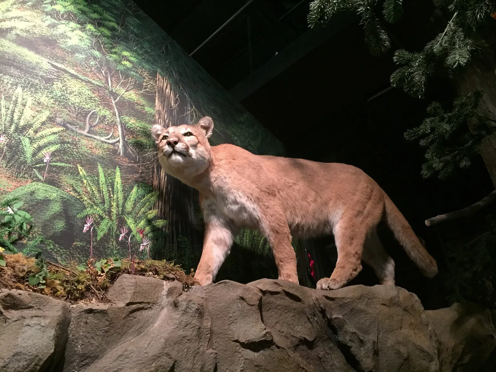 Columbia Gorge Discovery Center