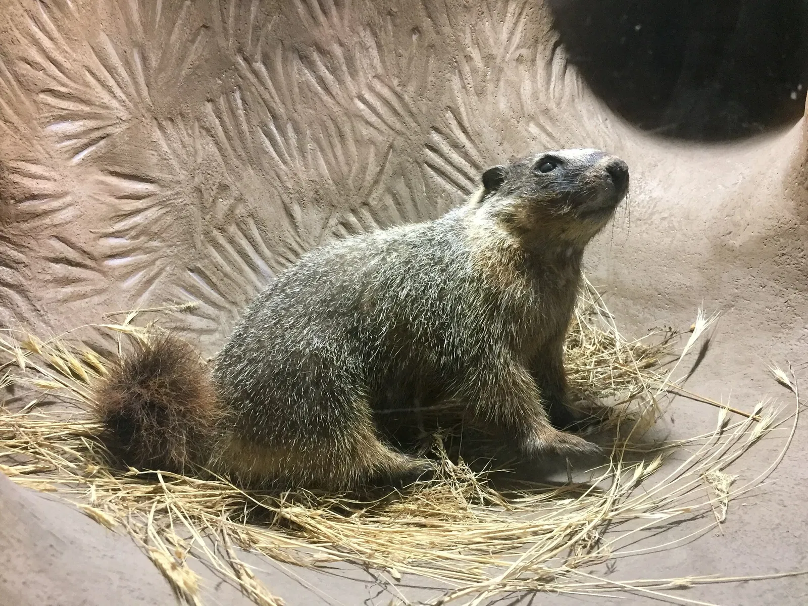Columbia Gorge Discovery Center