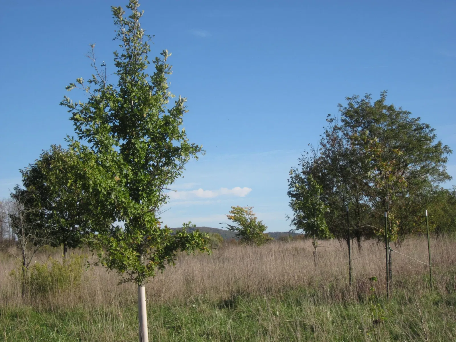 Antietam National Battlefield