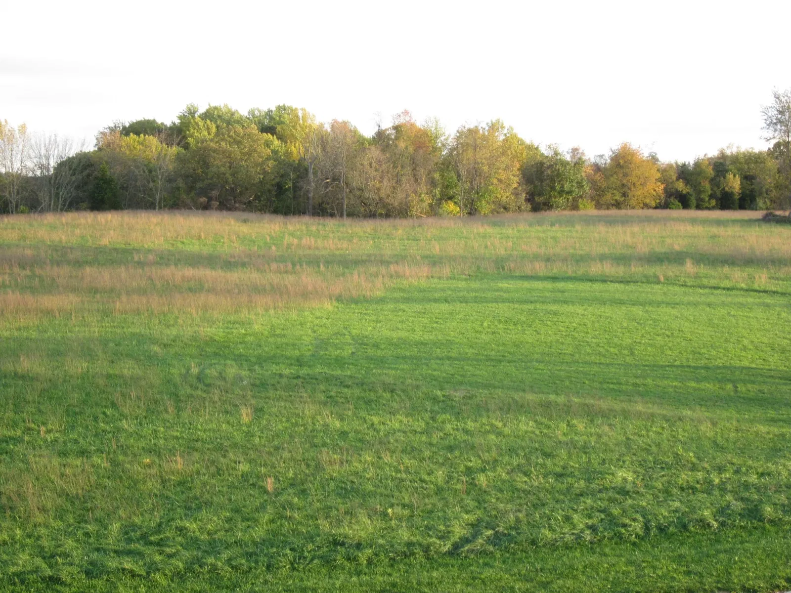 Antietam National Battlefield
