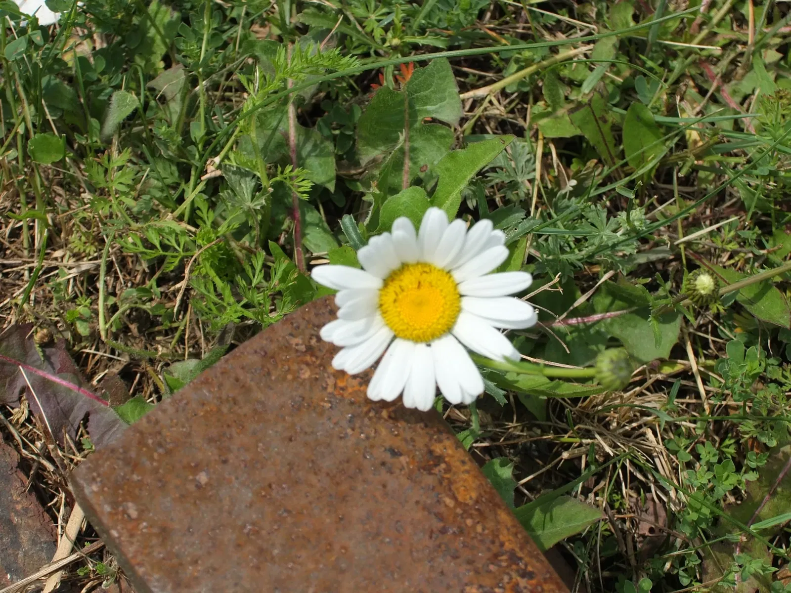 Railway Museum of Eastern Ontario