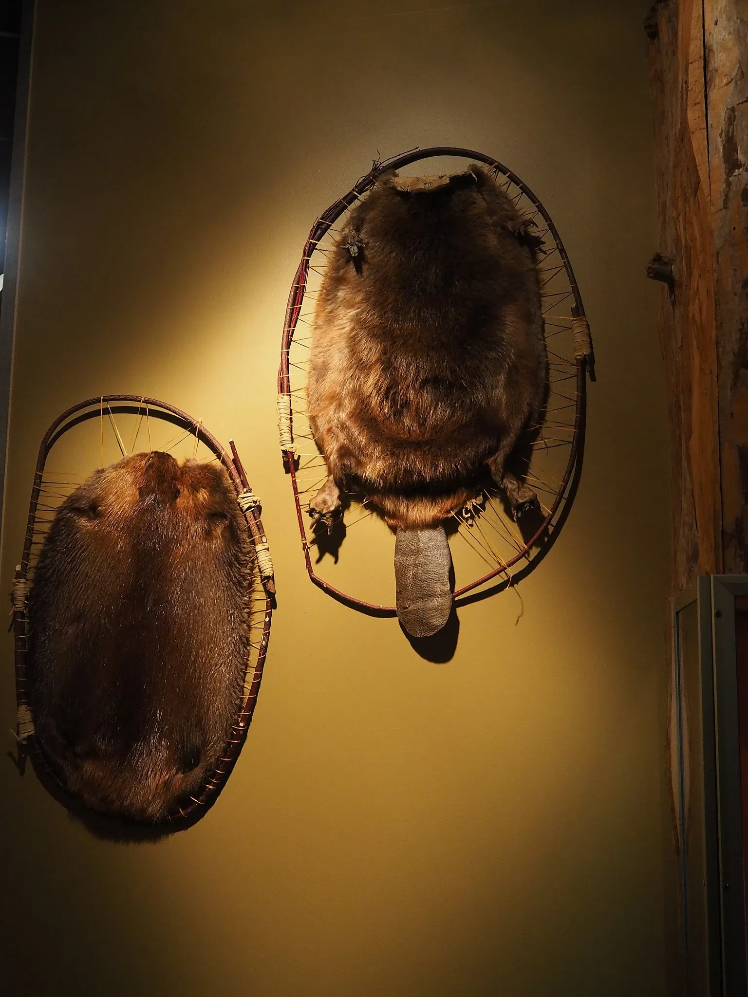 Sainte-Marie among the Hurons