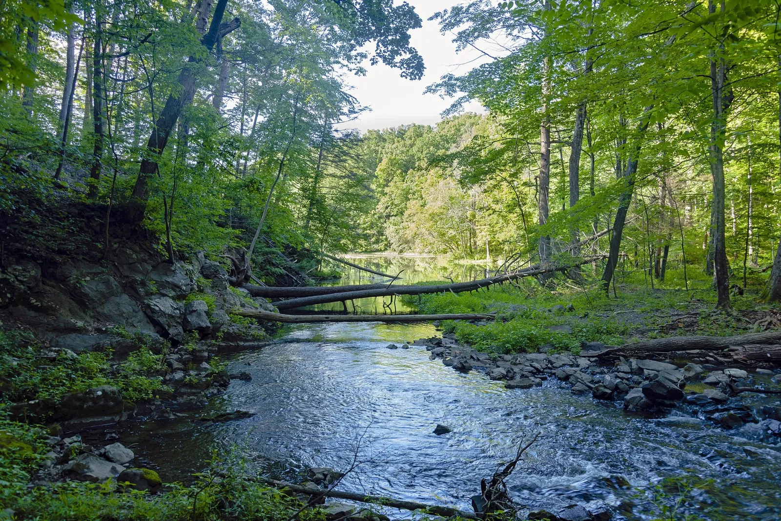 The Montgomery Place Campus - Bard College