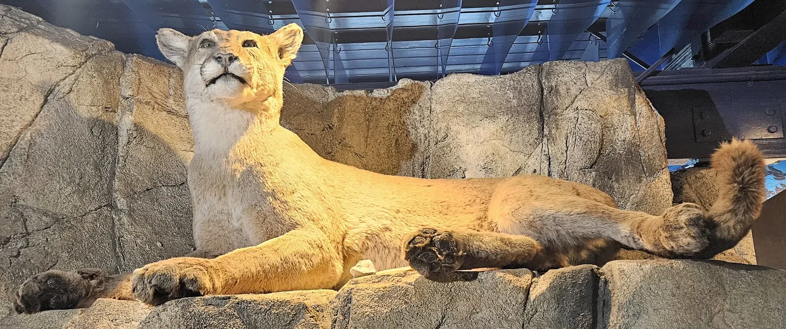 Museum of Natural History