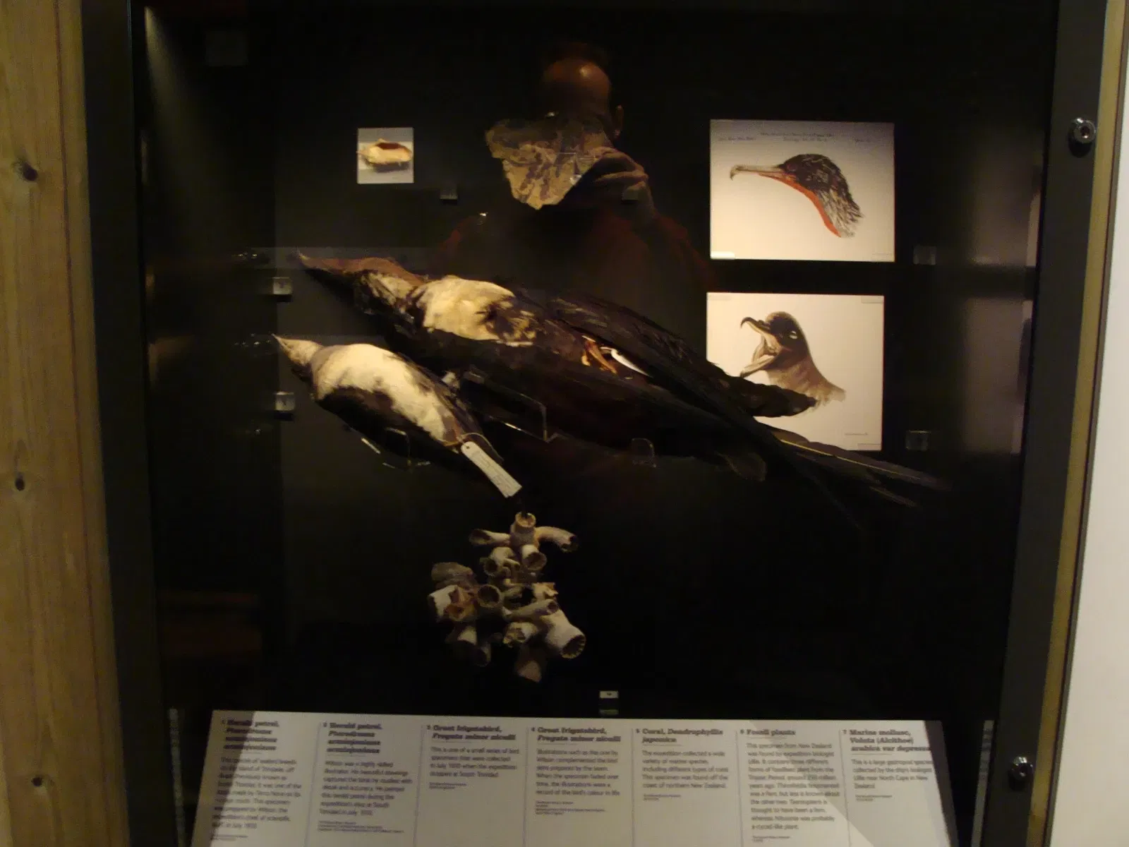 Musée national de la marine de Sydney