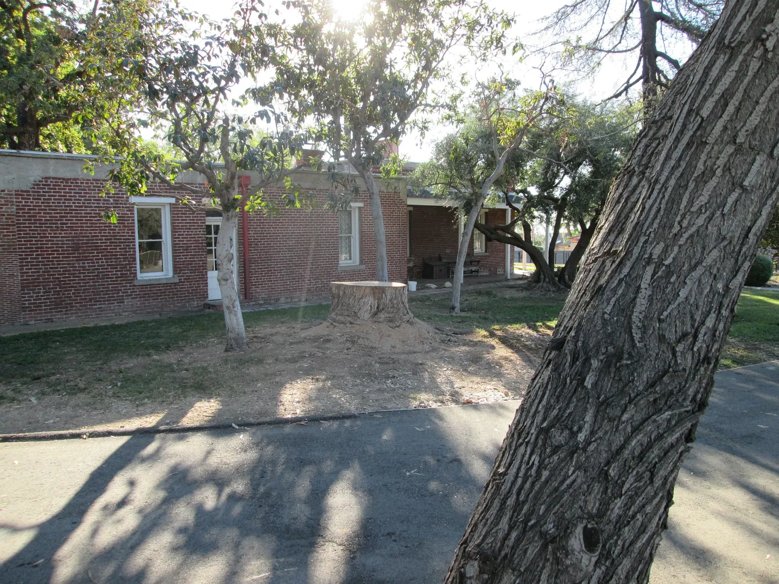 María Merced Williams and John Rains House