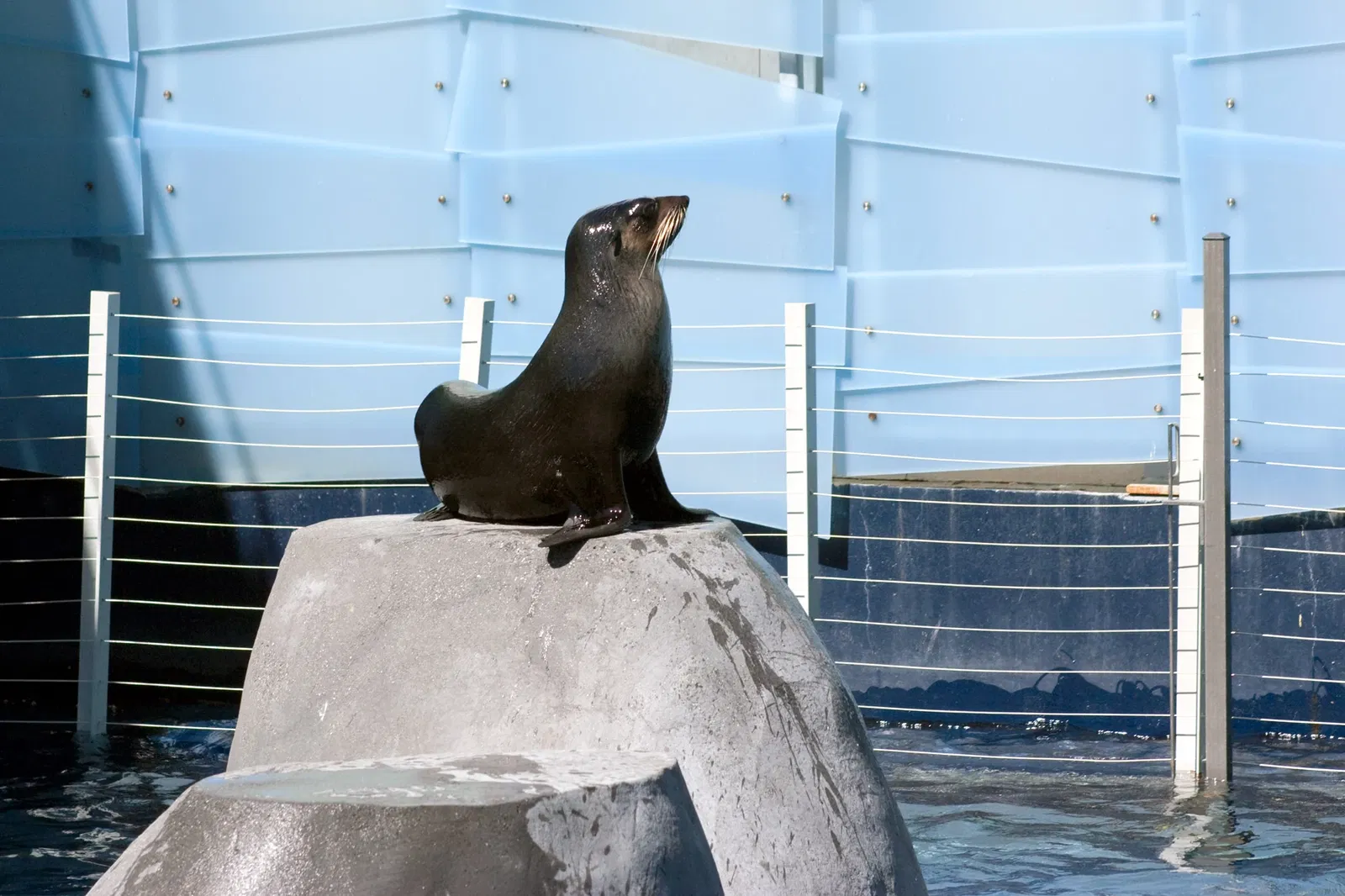 Jardin zoologique royal de Melbourne