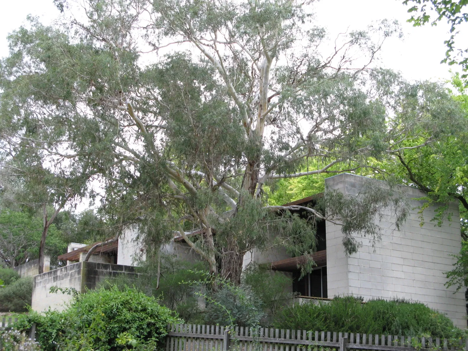 Museo Heide de Arte Moderno