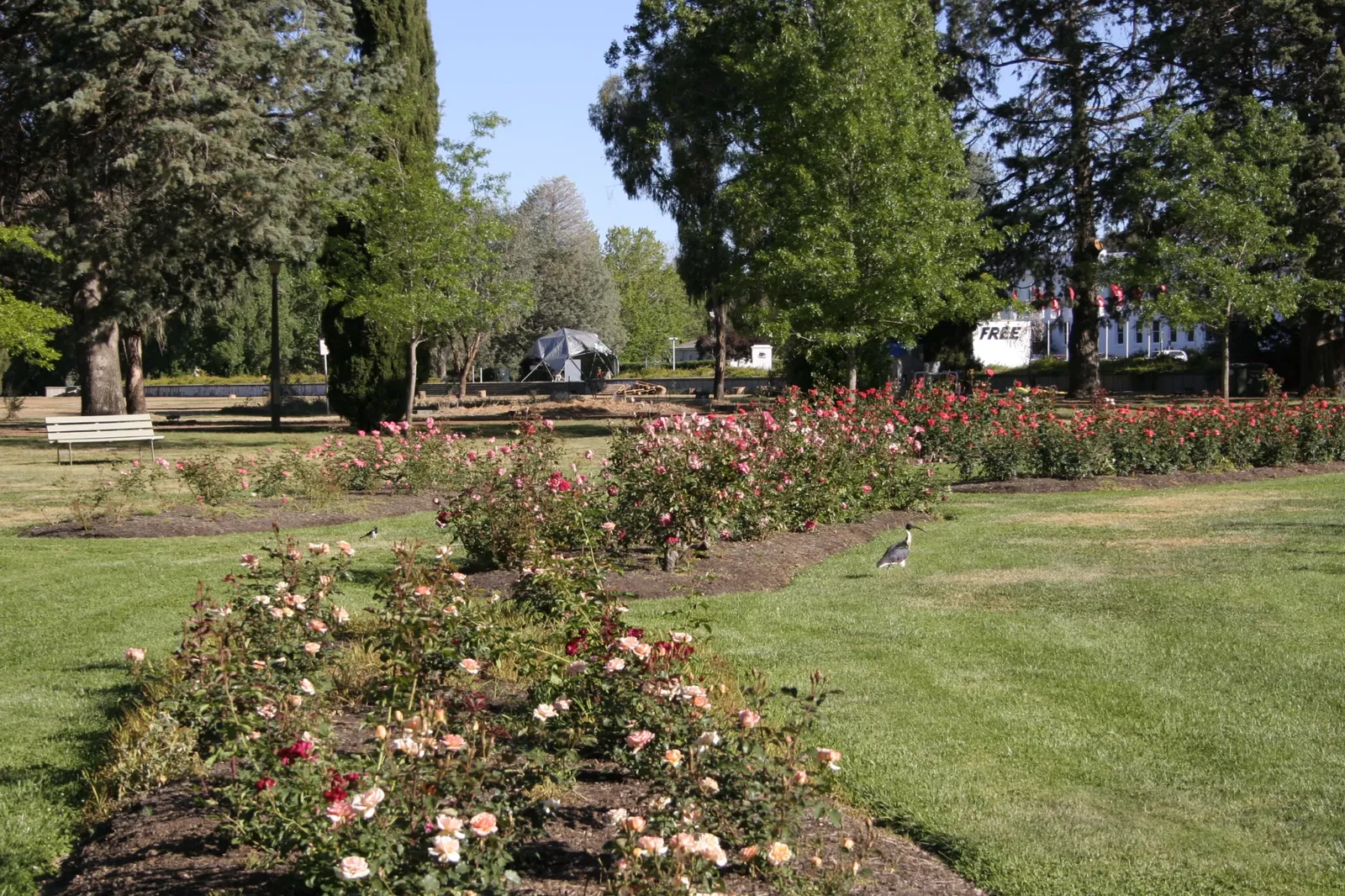 Museum of Australian Democracy